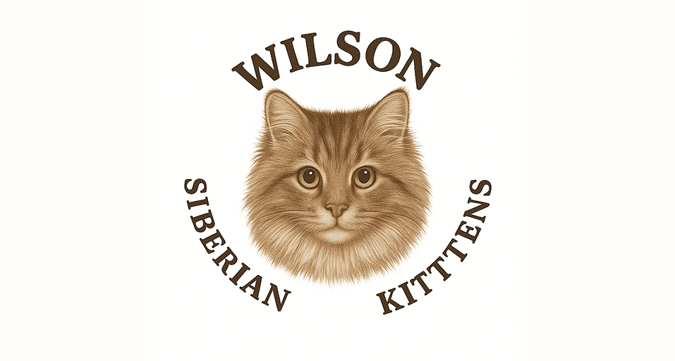 Wilson's Siberian Kittens